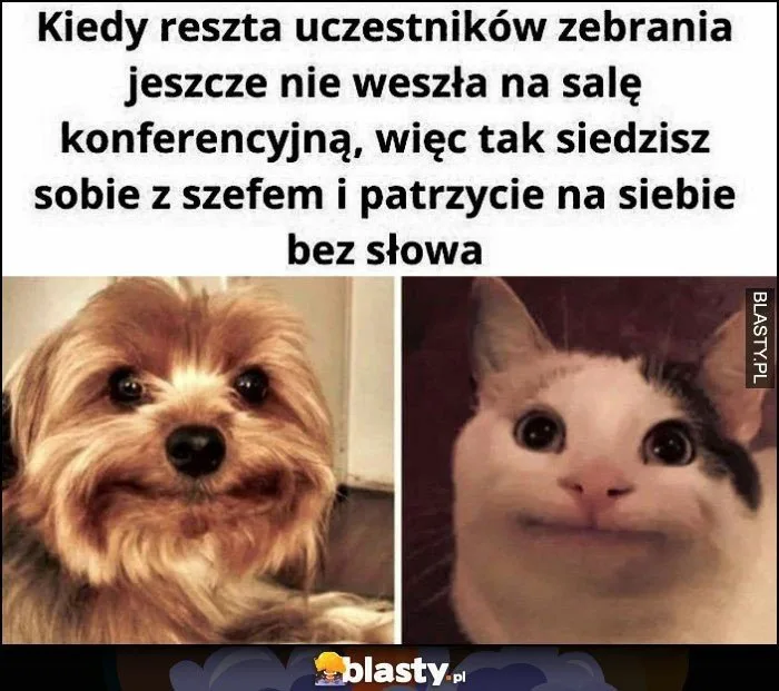 Dzień Szefa 2025: Zobacz najlepsze MEMY o tych, którzy trzymają ster w firmie! 37 dzien szefa 2025 zobacz najlepsze memy 034