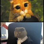 dzien szefa 2025 zobacz najlepsze memy 039