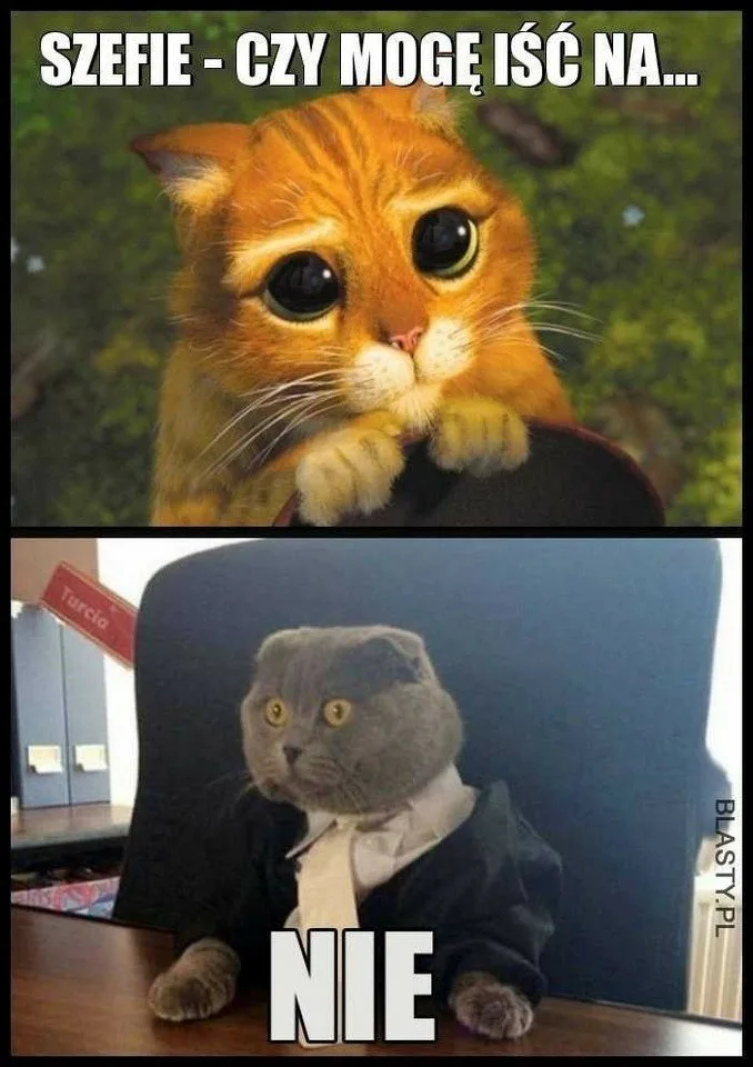 dzien szefa 2025 zobacz najlepsze memy 039
