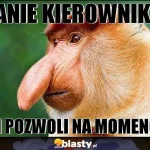 dzien szefa 2025 zobacz najlepsze memy 044