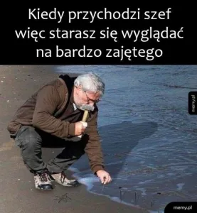 dzien szefa 2025 zobacz najlepsze memy 046
