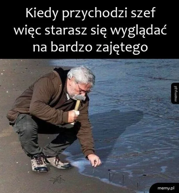dzien szefa 2025 zobacz najlepsze memy 046