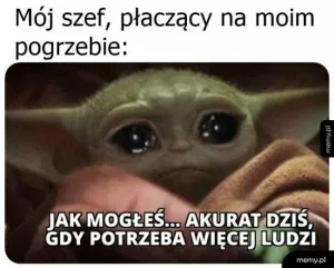 dzien szefa 2025 zobacz najlepsze memy 048
