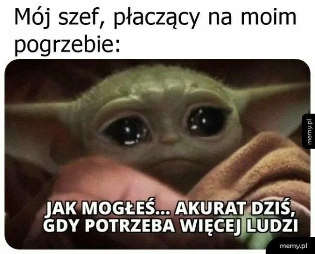 dzien szefa 2025 zobacz najlepsze memy 048