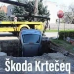 miedzynarodowy dzien jeza kiedy obejrzyj najlepsze memy 007