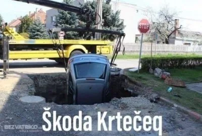 Międzynarodowy Dzień Jeża: kiedy? Obejrzyj najlepsze memy 33 miedzynarodowy dzien jeza kiedy obejrzyj najlepsze memy 007