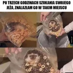 miedzynarodowy dzien jeza kiedy obejrzyj najlepsze memy 025