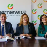 rewitalizacja i budowa sciezki pieszorowerowej wzdluz lupia 5 z 17