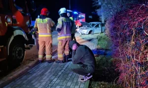 17-latek bez uprawnień uderzył w ogrodzenie i słup energetyczny 9 249 231930