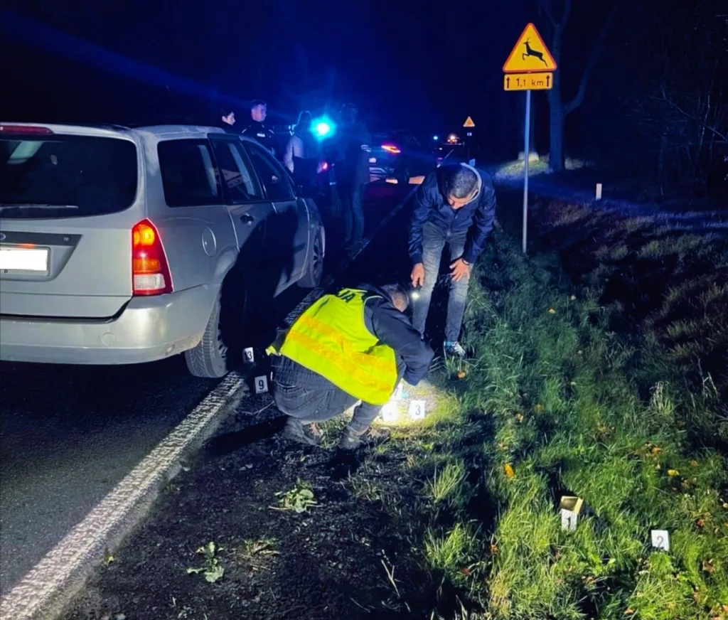 Policja zatrzymała sprawców dwóch włamań po pościgu samochodowym 1 skierniewice policja zatrzymala sprawcow dwoch wlaman po poscigu samochodowym