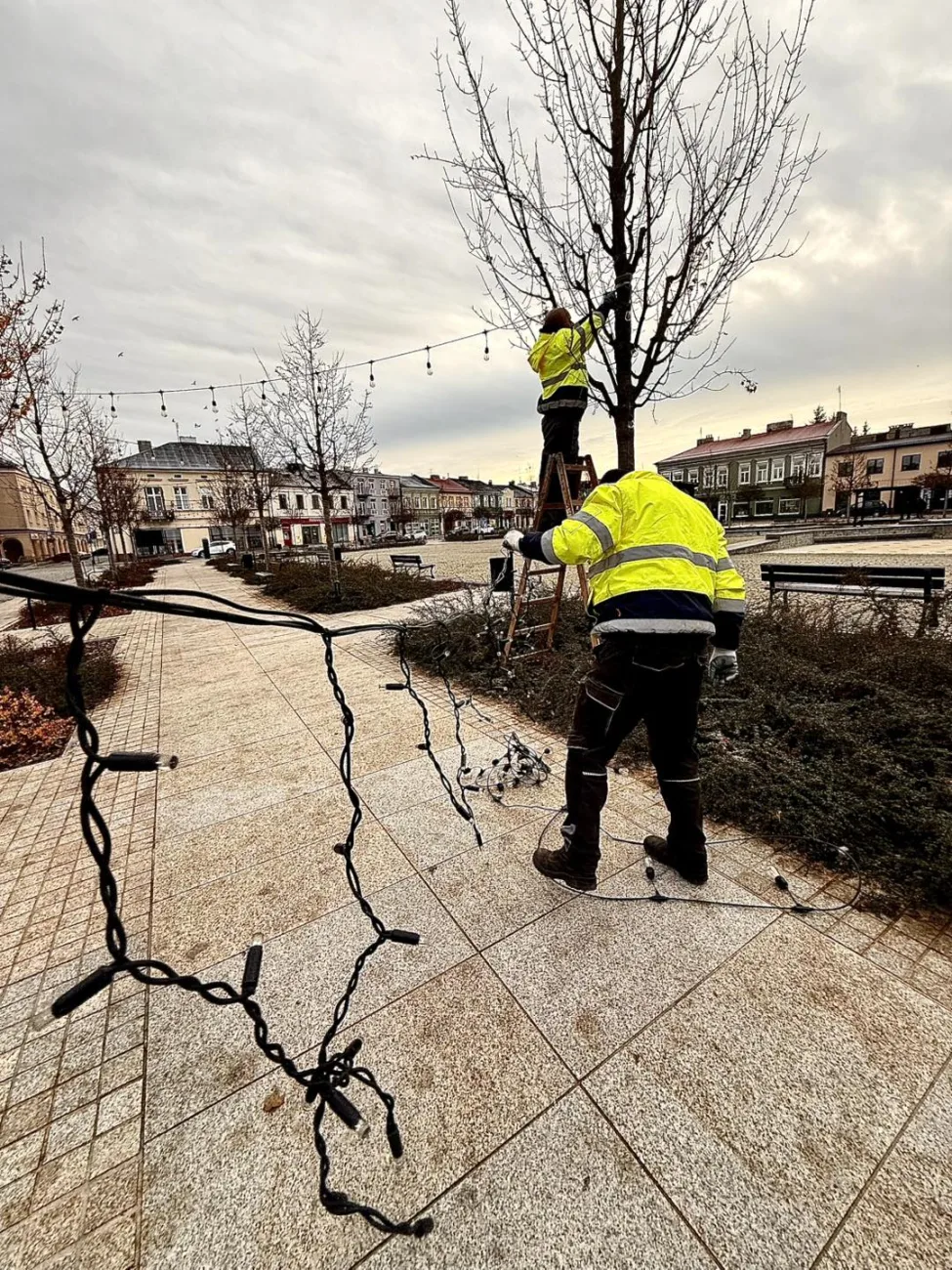 Niecodzienna akcja ZUM. Skierniewice pozyskują świąteczne choinki od mieszkańców 1 2025 11 27 14 38 51 2