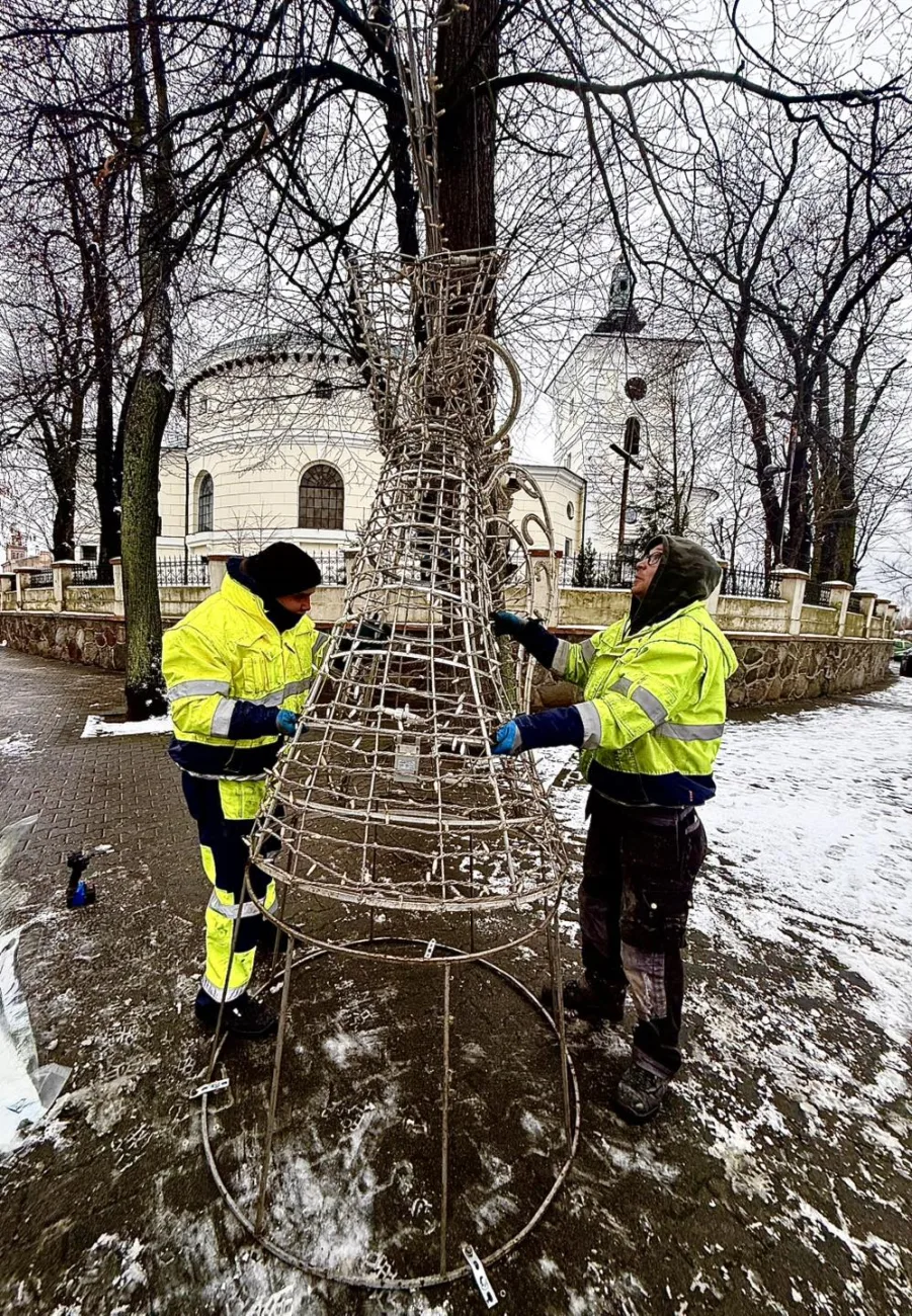 Niecodzienna akcja ZUM. Skierniewice pozyskują świąteczne choinki od mieszkańców 5 2025 11 27 14 38 51 4