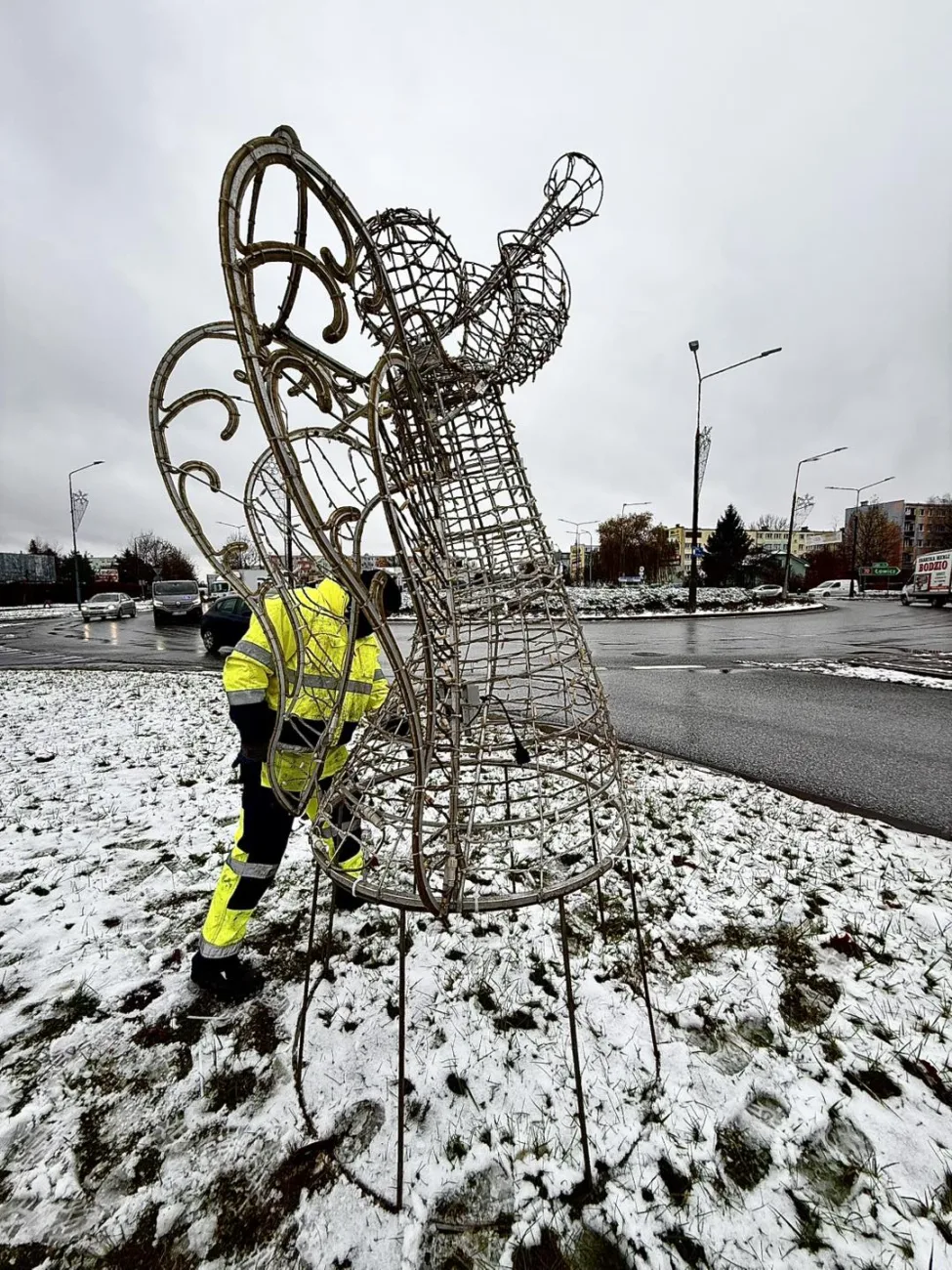 Niecodzienna akcja ZUM. Skierniewice pozyskują świąteczne choinki od mieszkańców 1 2025 11 27 14 38 51 8