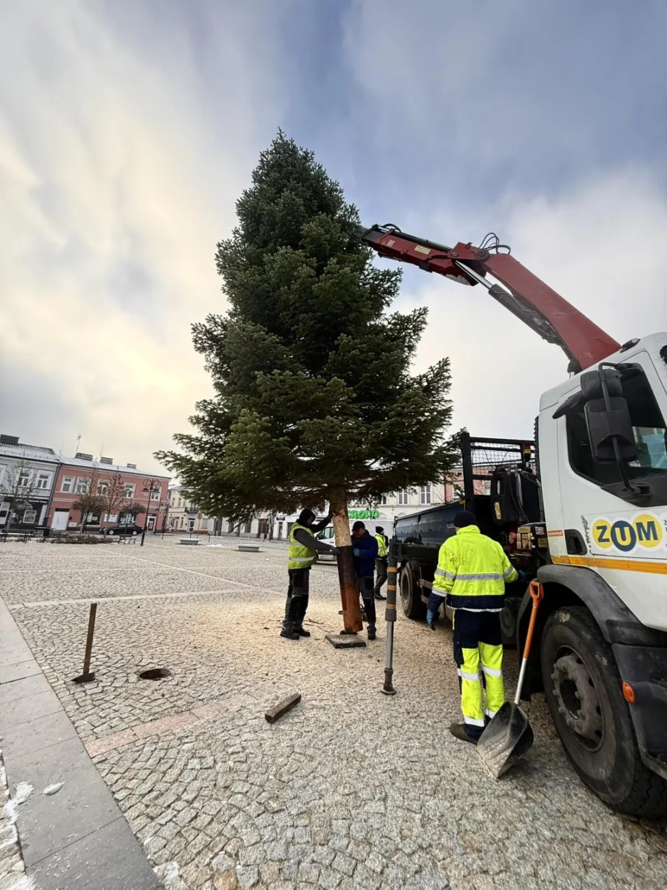 Niecodzienna akcja ZUM. Skierniewice pozyskują świąteczne choinki od mieszkańców 1 2025 11 28 13 51 51 1