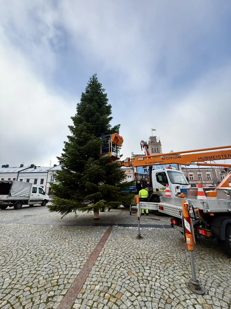 Niecodzienna akcja ZUM. Skierniewice pozyskują świąteczne choinki od mieszkańców 1 2025 11 28 13 51 51 2