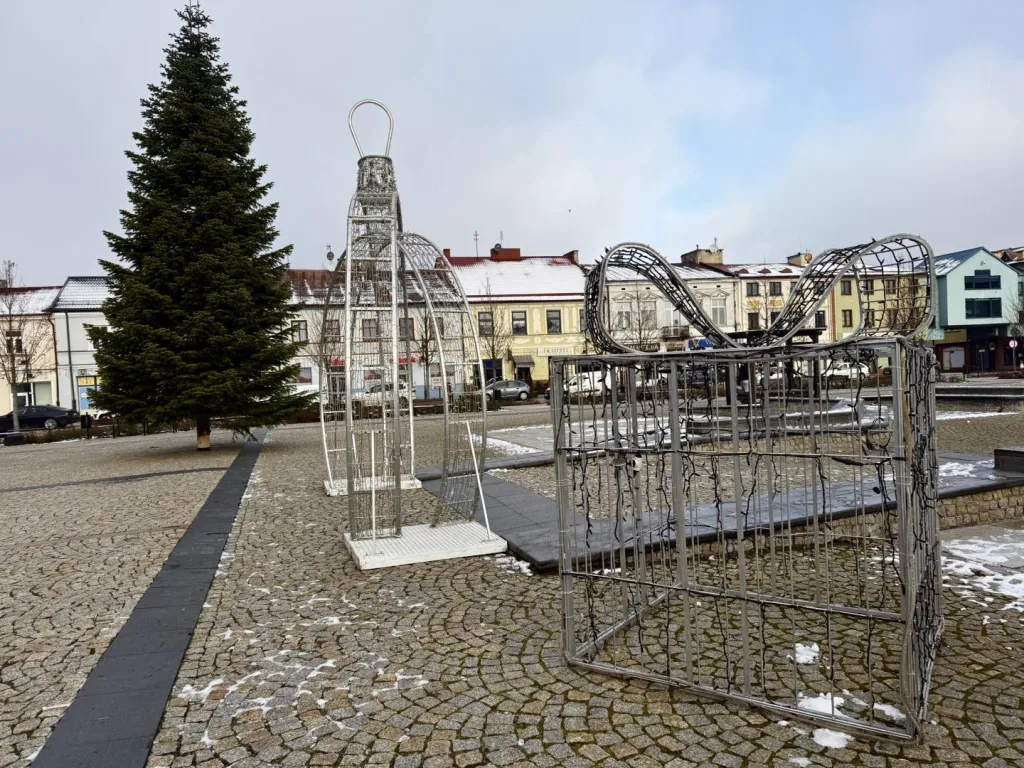 Niecodzienna akcja ZUM. Skierniewice pozyskują świąteczne choinki od mieszkańców 5 2025 11 28 13 51 51 6