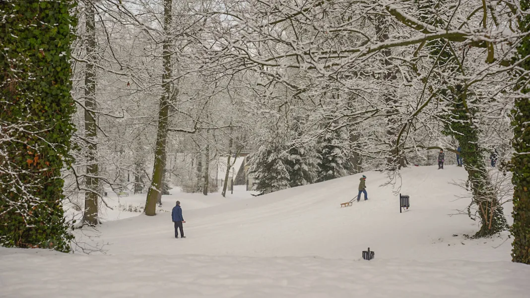 Ferie w mieście 2026 Skierniewice – dzieci zjeżdżające na sankach w zaśnieżonym Parku Miejskim.
