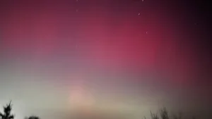 magia na niebie nad skierniewicami zorza polarna zachwycila mieszkancow2026 01 19 23 22 42 1