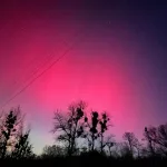 magia na niebie nad skierniewicami zorza polarna zachwycila mieszkancow2026 01 19 23 22 42 2