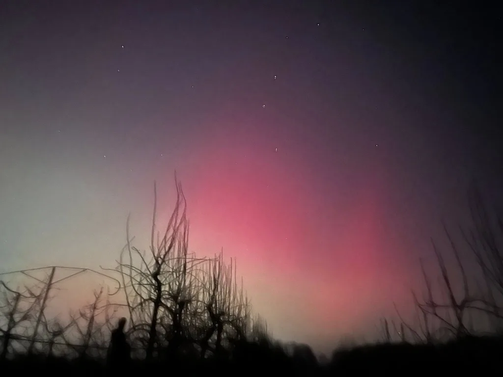 magia na niebie nad skierniewicami zorza polarna zachwycila mieszkancow2026 01 19 23 22 42 5