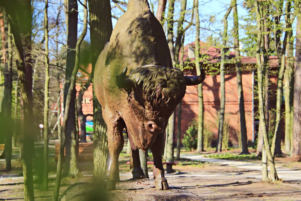 Pociąg Łódzkiej Kolei Aglomeracyjnej jako sposób na majówkową wycieczkę do Spały, Skierniewic i Rogowa