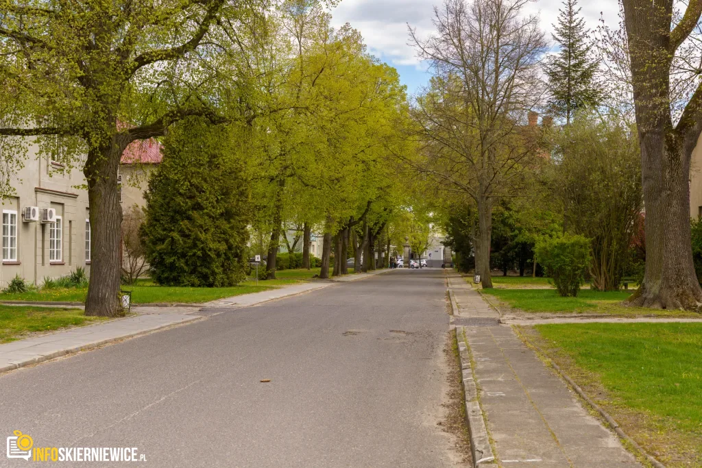 Skierniewice chcą kupić teren przy ul. Waryńskiego z Pałacykiem Myśliwskim Sabediany. W tle pojawia się także temat osady pałacowej.