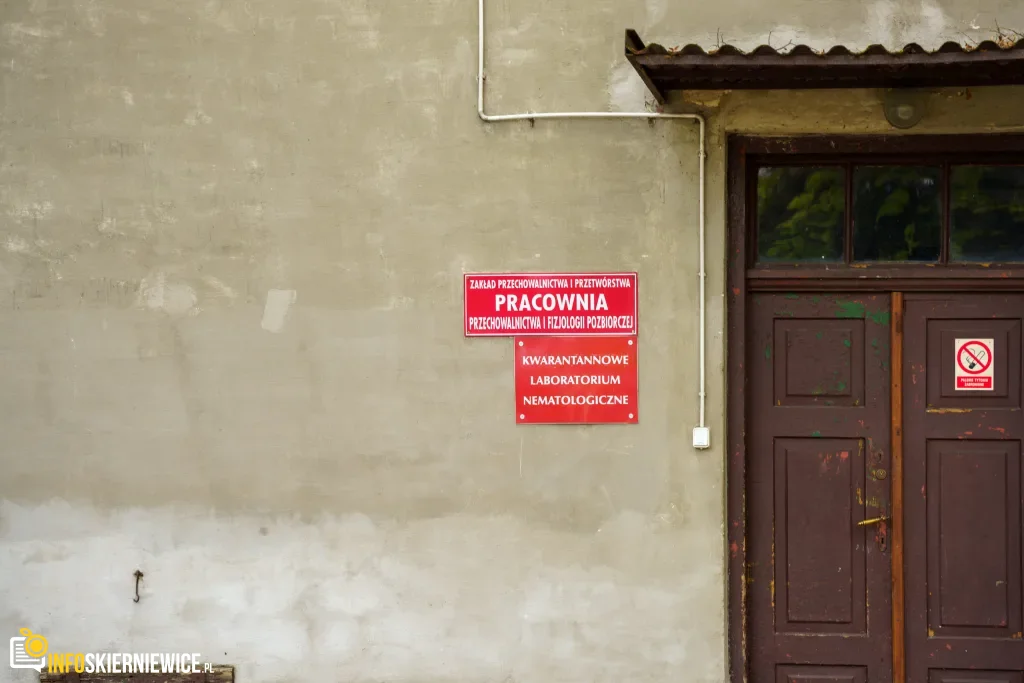 Skierniewice chcą kupić teren przy ul. Waryńskiego z Pałacykiem Myśliwskim Sabediany. W tle pojawia się także temat osady pałacowej.