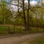 Skierniewice chcą kupić teren przy ul. Waryńskiego z Pałacykiem Myśliwskim Sabediany. W tle pojawia się także temat osady pałacowej.