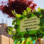 Przedszkolaki z Zielonego Zakątka zazieleniają centrum (10 z 41)