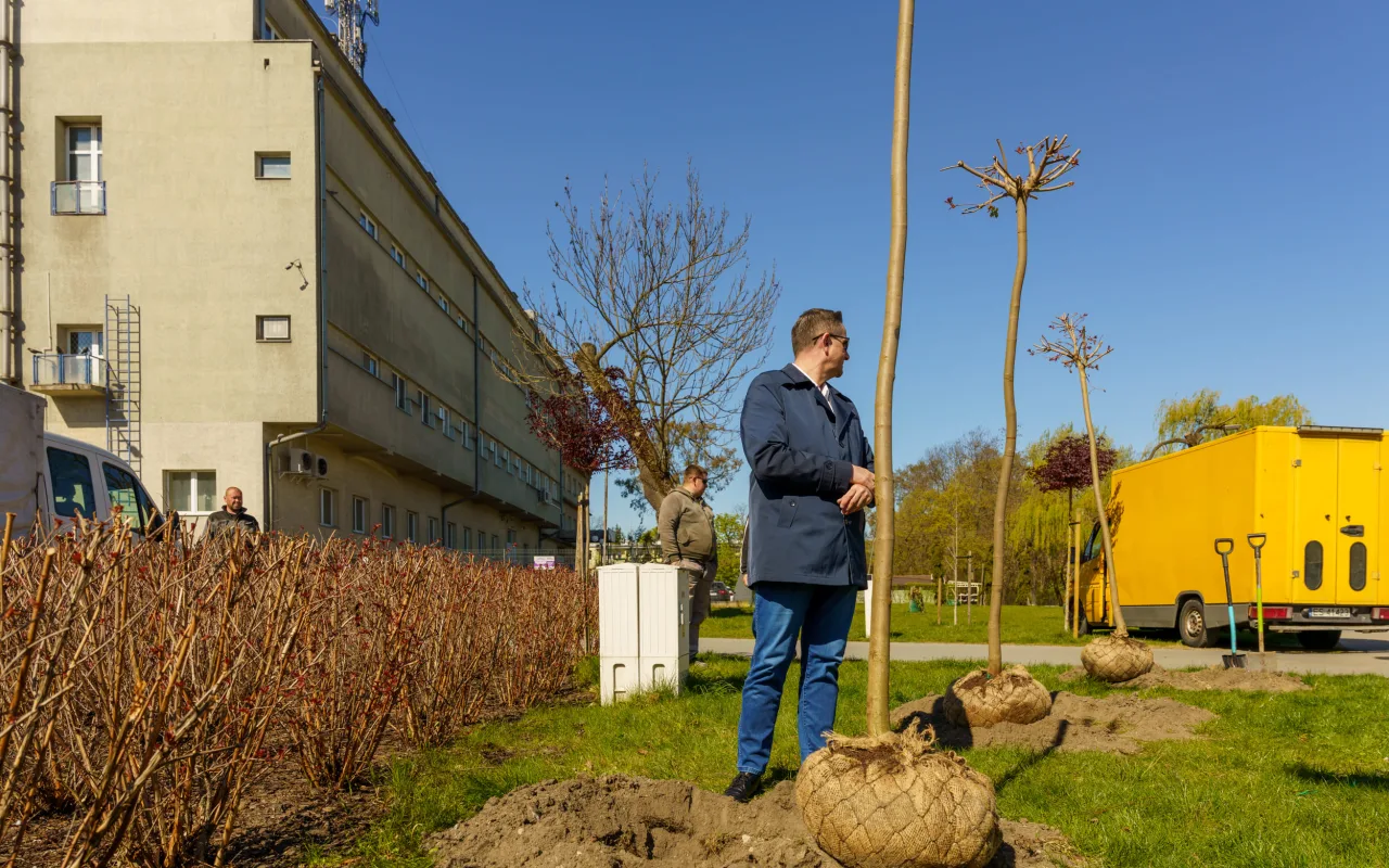 Przedszkolaki z Zielonego Zakątka zazieleniają centrum (29 z 41)