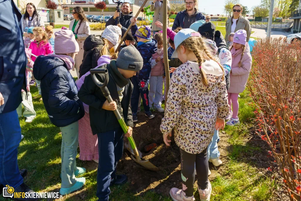 Przedszkolaki z Zielonego Zakątka zazieleniają centrum (34 z 41)