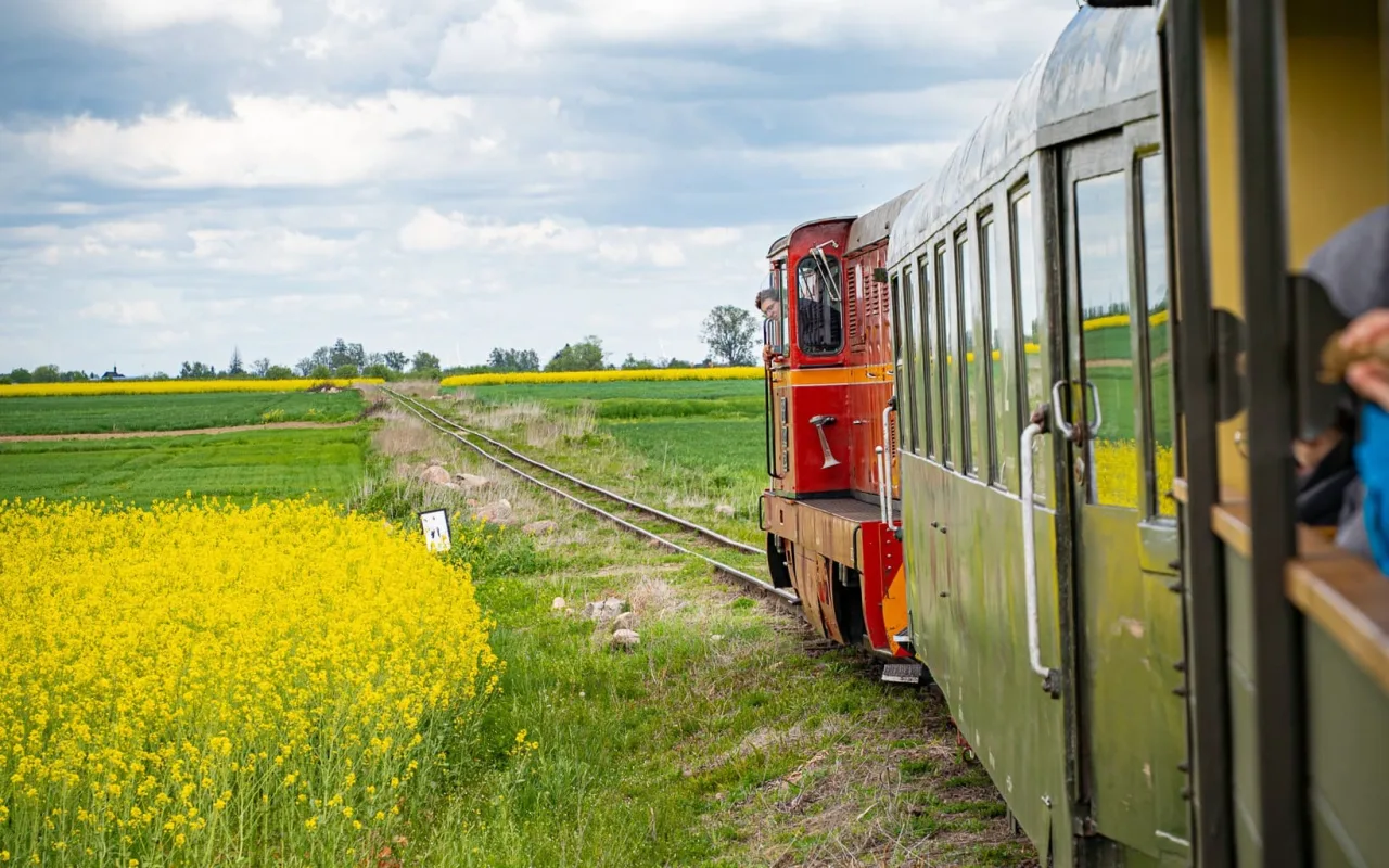 Pociąg Łódzkiej Kolei Aglomeracyjnej jako sposób na majówkową wycieczkę do Spały, Skierniewic i Rogowa