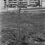 skierniewice z konca xx wieku na 21 unikalnych fotografiach 36