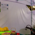 W niedzielę 24 maja w Strobowie odbyła się dziesiąta edycja Święta Rodziny organizowana przez Starostwo Powiatowe w Skierniewicach. Zobacz podsumowanie.