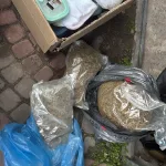 gang zlodziei samochodow rozbity 11