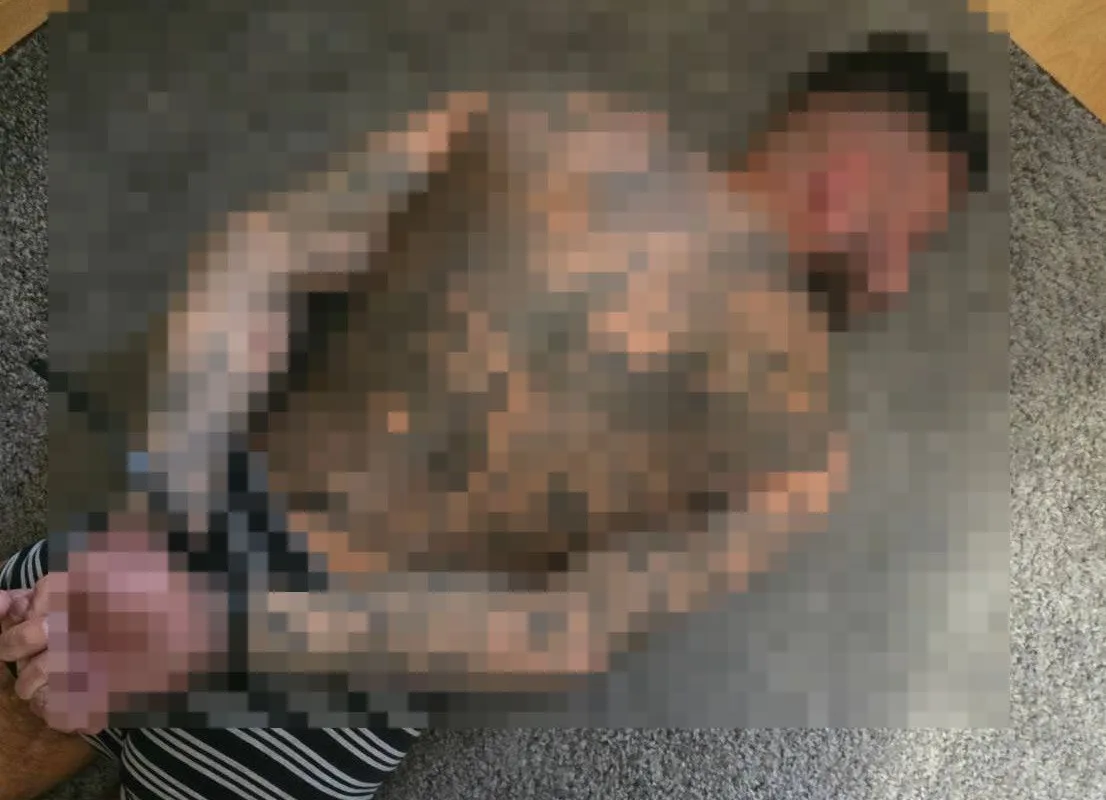 Uderzenie skierniewickiej policji w gang złodziei. Odzyskali luksusowe auta i kilogramy narkotyków — zdjęcie 2 z 12