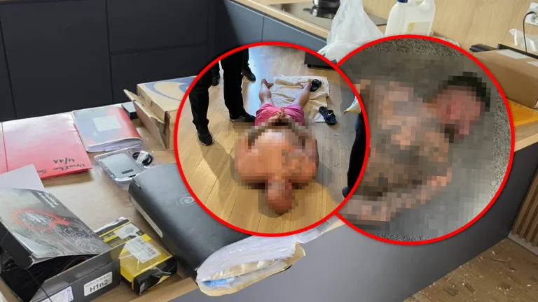 gang zlodziei samochodow rozbity