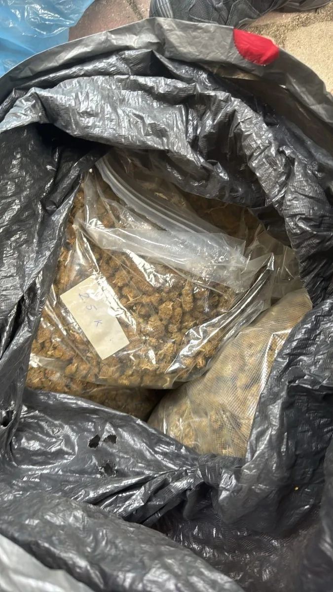 gang zlodziei samochodow rozbity 8